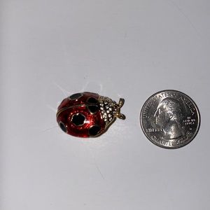 Vintage Cloisonné and Enamel Ladybug Brooch Pin